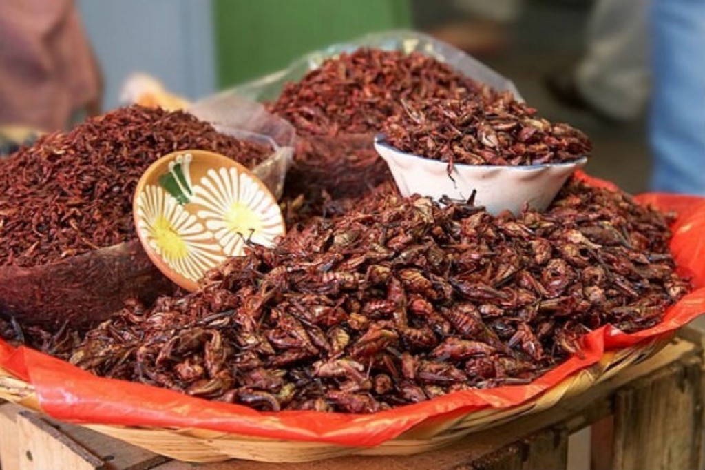 Botanas Tradicionales