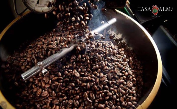Café Pluma Hidalgo 1 Kilo Molido